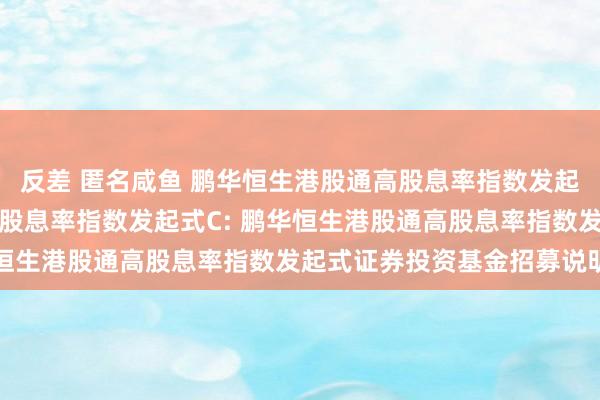 反差 匿名咸鱼 鹏华恒生港股通高股息率指数发起式A，鹏华恒生港股通高股息率指数发起式C: 鹏华恒生港股通高股息率指数发起式证券投资基金招募说明书