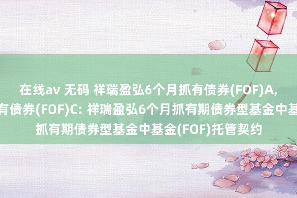 在线av 无码 祥瑞盈弘6个月抓有债券(FOF)A，祥瑞盈弘6个月抓有债券(FOF)C: 祥瑞盈弘6个月抓有期债券型基金中基金(FOF)托管契约