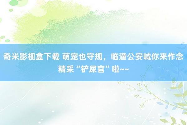 奇米影视盒下载 萌宠也守规，临潼公安喊你来作念精采“铲屎官”啦~~