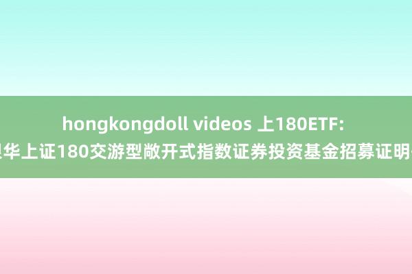 hongkongdoll videos 上180ETF: 银华上证180交游型敞开式指数证券投资基金招募证明书