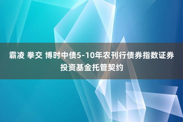 霸凌 拳交 博时中债5-10年农刊行债券指数证券投资基金托管契约