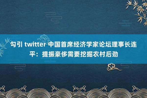 勾引 twitter 中国首席经济学家论坛理事长连平：提振豪侈需要挖掘农村后劲