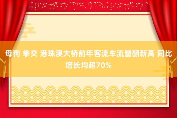 母狗 拳交 港珠澳大桥前年客流车流量翻新高 同比增长均超70%