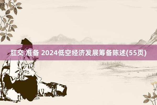 肛交 准备 2024低空经济发展筹备陈述(55页)