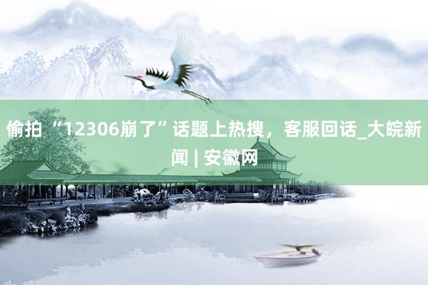 偷拍 “12306崩了”话题上热搜，客服回话_大皖新闻 | 安徽网