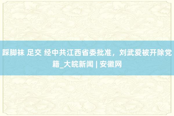 踩脚袜 足交 经中共江西省委批准，刘武爱被开除党籍_大皖新闻 | 安徽网