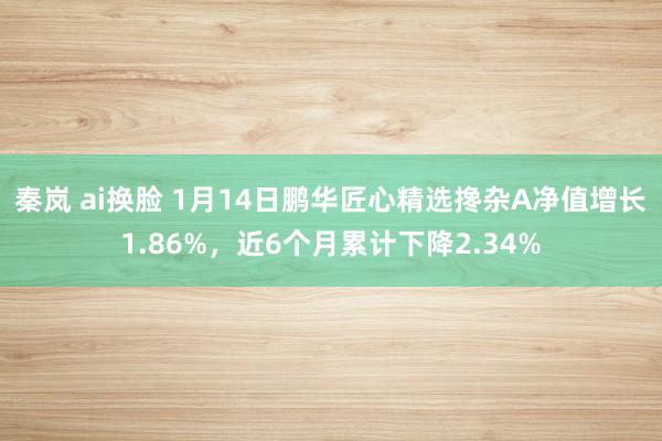 秦岚 ai换脸 1月14日鹏华匠心精选搀杂A净值增长1.86%，近6个月累计下降2.34%